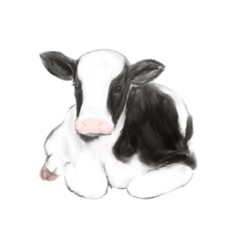 calf, cow, zodiac, illustration,2021