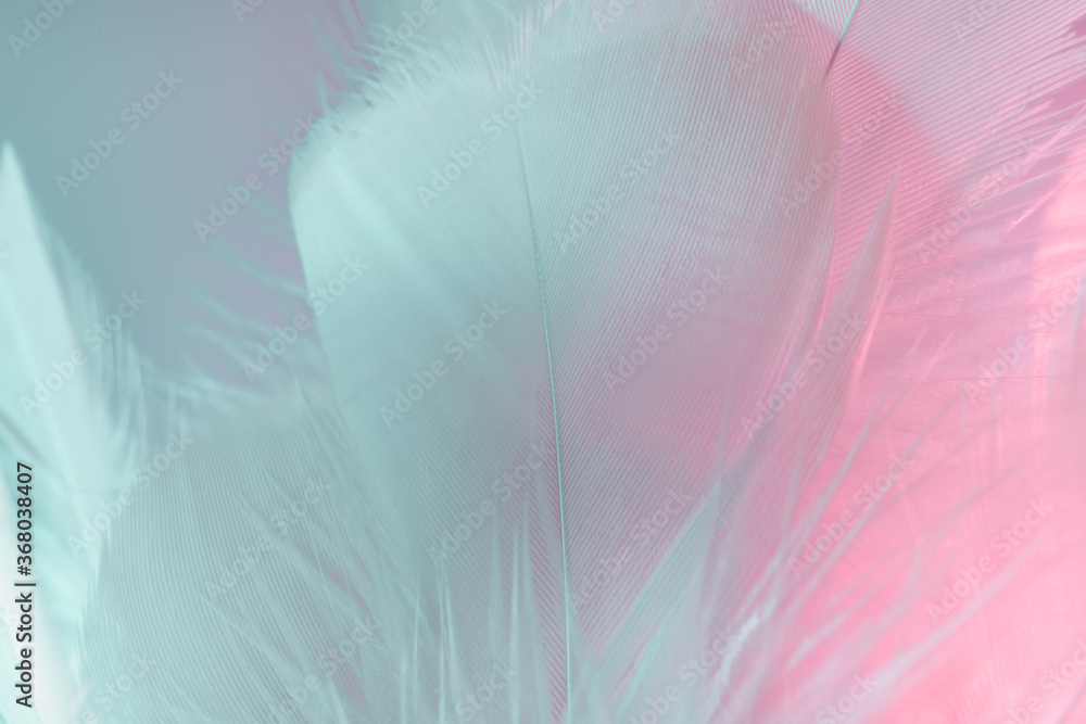 Aufkleber Exotic texture feathers background close up. Soft feathers pattern for your design. Macro photography view.