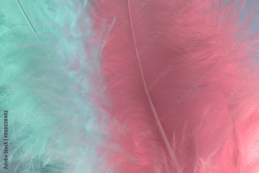 Poster exotic texture feathers background close up. pink and aquamarine feathers pattern for your design. m