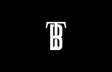Elegant Vector Linked Minimalist Letter TB Logo Design