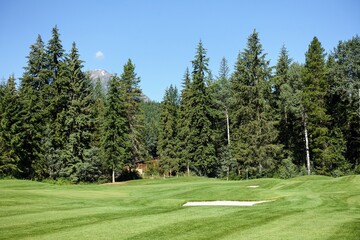 Fototapeta na wymiar A beautiful view of a golf course on a sunny summer morning with the sun shining and blue sky, surrounded by tall trees. Golf in nature in British Columbia, Canada.