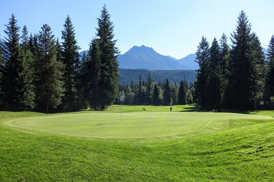 A beautiful view of a golf course on a sunny summer morning with the sun shining and blue sky, surrounded by tall trees.  Golf in nature in British Columbia, Canada.