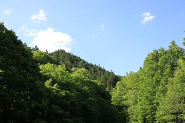 Mountain Area in Saitama, JAPAN