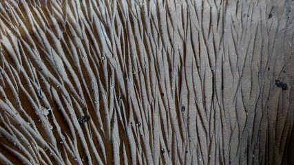 Wood texture with rough scratches with irregular streaks