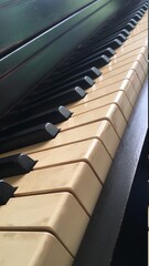 piano keys in natural light