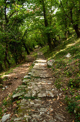 Fototapeta na wymiar Old road to Gornij Stoliv in Montenegro (Boka Kotorska)