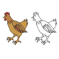 Chicken, hen.Hand drawn vector illustration . Farm bird on white background