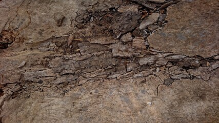 The texture of the kapok wood board is damaged