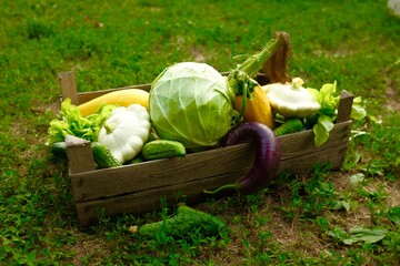 Fresh farm vegetables in wooden box on a background of green grass. locally grown food