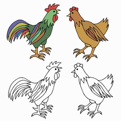 Hen, cock, rooster, chiken vector hand drawn illustration. Farm bird on the white background