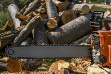 Stack of gold coins with a young plant on a gray background. Which show growth.Front view. Close