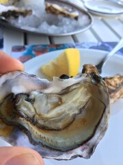 Fresh oyster shell on ice