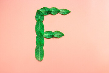 on a gentle pink background the alphabet the letter F from the leaves of mint melissa