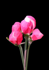 Obraz premium Vector single rose flower isolated on black background. Bright sunny spring or summer detailed and accurate design in low poly style. Floral design element.