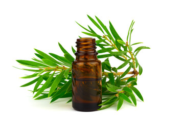 Melaleuca (Tea Tree) Essential Oil Isolated on White Background.