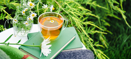 Glass cup of herbal tea with chamomile flower on books, warm green plaid, bouquet of rustic daisies...