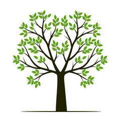 Shape of Tree with leaves, fruits and Roots. Vector outline Illustration. Plant in Garden.