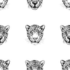 Seamless pattern of hand drawn sketch style portraits of leopards isolated on white background. Vector illustration.