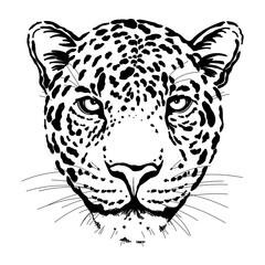 Hand drawn sketch style portrait of leopard isolated on white background. Vector illustration.