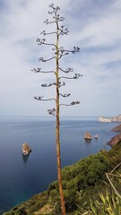 Awesome seascape in west Sardinia in a blue background