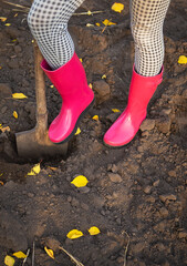 A girl in rubber boots is standing in the garden with a shovel and digging.