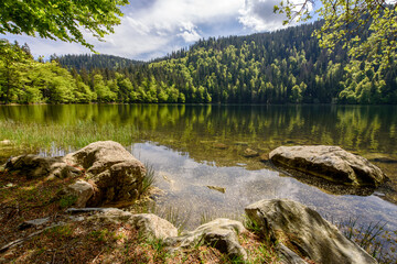 Blick auf einen See mit bewaldetem Ufer und klarem Wasser