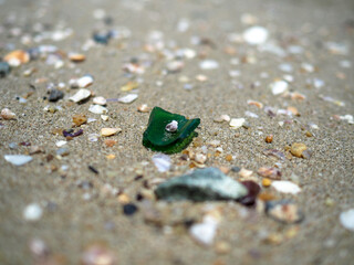Glass bottles in the sand that are harmful to nature and living things, both on land and water.