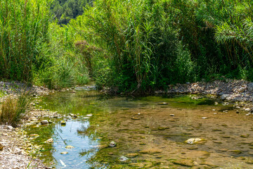 View of the Mijares river with little water flow, boulders and many green reeds as it passes through the town of Ayodar