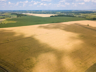 Aerial drone view. Ripe wheat field in Ukraine.
