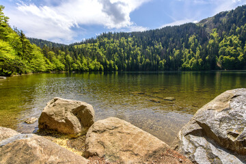 Blick auf einen See mit bewaldetem Ufer und klarem Wasser