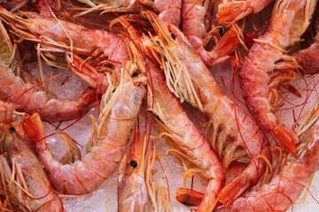 Close up of shrimps at fish market in the center of Athens in Greece, July 27 2020.