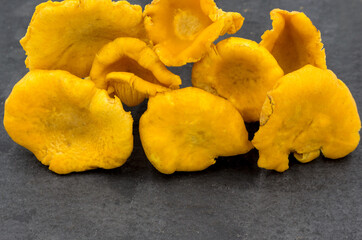Raw chanterelle mushrooms on a black kitchen Board