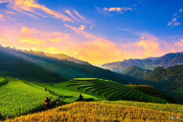 mu cang chai in viet nam