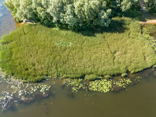 Aerial drone view. Tall grass by the river.