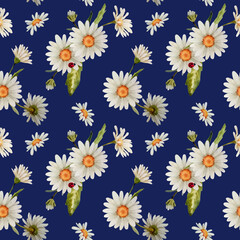 Watercolor seamless pattern with white chamomile flowers and blades of grass