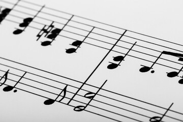 Fototapeta premium Musical note.