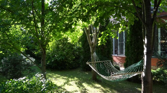 Hammock in garden between trees against backdrop of evergreens. Under hammock on grass lies soccer ball. Evergreen landscaped garden. Atmosphere of calm and relaxation.
