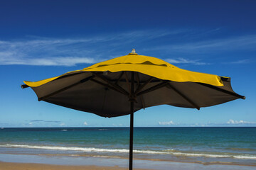 Beach umbrella