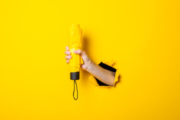 Female hand holds a yellow umbrella on a yellow background. Rain concept © Alex