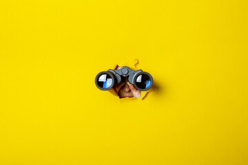 Female hand holds black binoculars on a yellow background. Journey, find and search concept - obrazy, fototapety, plakaty