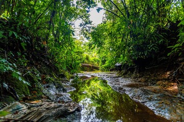 #River 