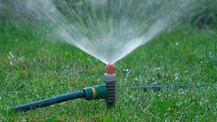 Lawn sprinkler sprayer in action watering grass.