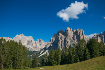 Fototapeta na wymiar Summer view of Catinaccio chain mountain in Trentino