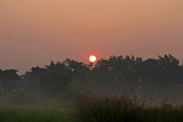 Obraz premium A beautiful sunrise of a winter morning a stunning moment .