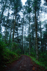 Obraz premium MANANTLAN