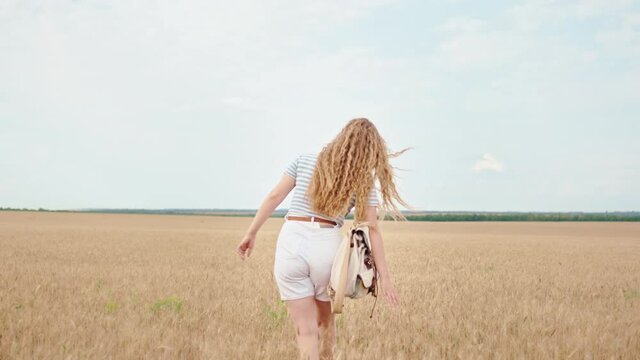 In the middle of a large wheat field beautiful lady tourist walking though the field touching the wheat and enjoying the time she falling down on the wheat and feeling relaxed