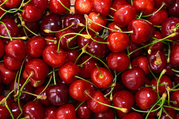 a lot of red cherries in full screen