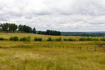 Rural summer landscape with green grass, forest on the horizon and cloudy sky. High quality photo