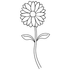 Daisy. Floral sketch. Summer flower. Vector . Outline on an isolated white background. Doodle style. Coloring book for children. Perennial plant from the Aster family. Idea for web design. 