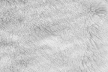 White fur fabric texture background